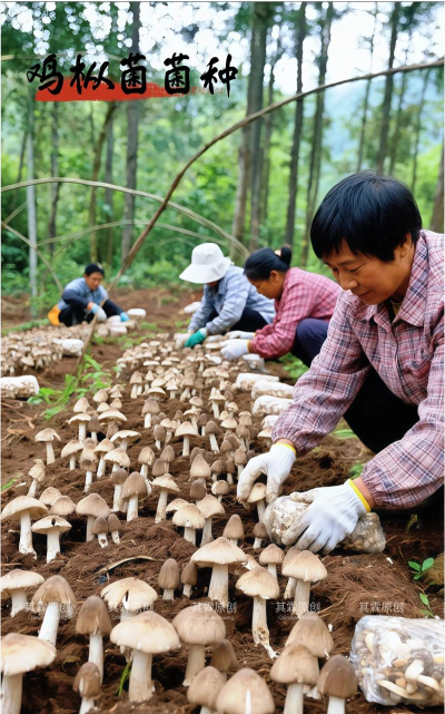 纯净水可以养花吗，了解水质影响，掌握正确方法