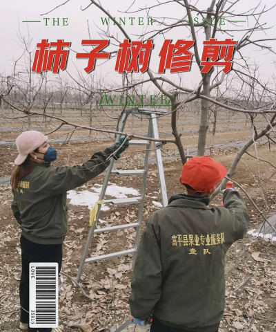 纯净水可以养花吗，了解水质影响，掌握正确方法