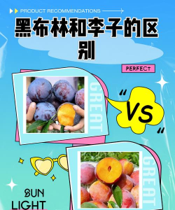 纯净水可以养花吗，了解水质影响，掌握正确方法