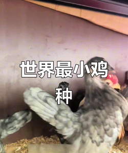 纯净水可以养花吗，了解水质影响，掌握正确方法