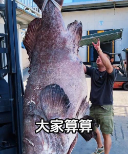 纯净水可以养花吗，了解水质影响，掌握正确方法