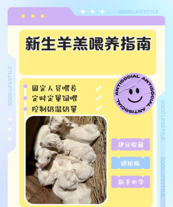 纯净水可以养花吗，了解水质影响，掌握正确方法