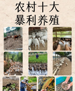 养花的诗句，传递生活情感，点缀日常美好