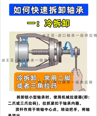 养花的诗句，传递生活情感，点缀日常美好