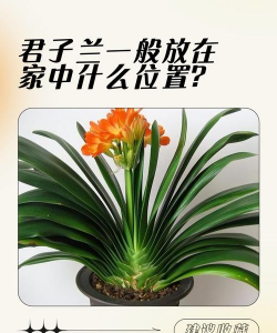 养花的诗句，传递生活情感，点缀日常美好