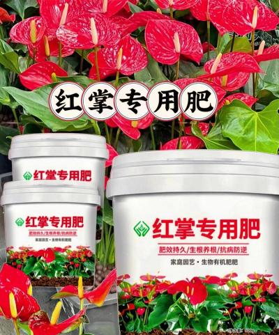 养花的诗句，传递生活情感，点缀日常美好