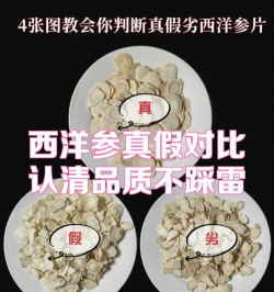 养花的诗句，传递生活情感，点缀日常美好