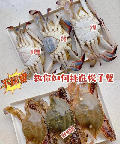 养花的诗句，传递生活情感，点缀日常美好