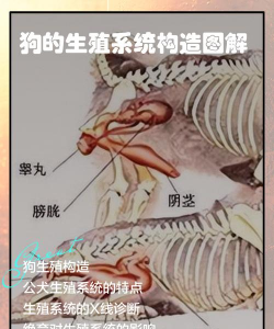 养花的诗句，传递生活情感，点缀日常美好