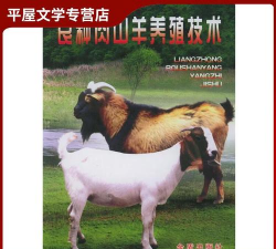 养殖致富新项目，选择方向多，收益潜力大