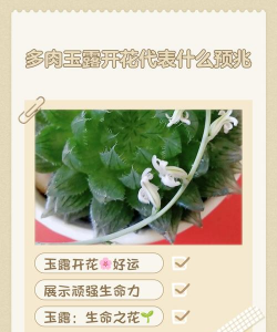 养殖致富新项目，选择方向多，收益潜力大