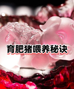 养殖致富新项目，选择方向多，收益潜力大