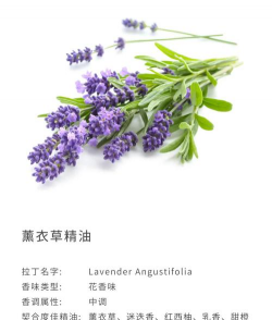 养殖致富新项目，选择方向多，收益潜力大