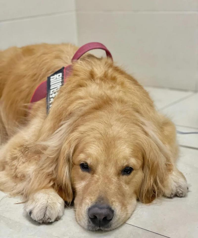 养殖致富新项目，选择方向多，收益潜力大