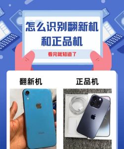 养殖致富新项目，选择方向多，收益潜力大