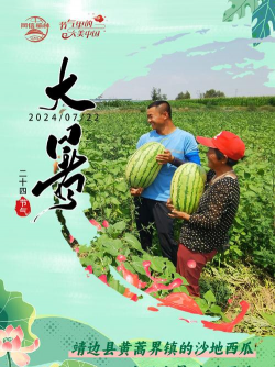 红色花卉，点亮家居氛围，增添生活色彩