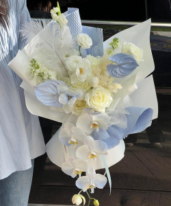 红色花卉，点亮家居氛围，增添生活色彩