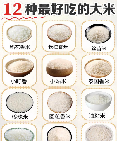 红色花卉，点亮家居氛围，增添生活色彩