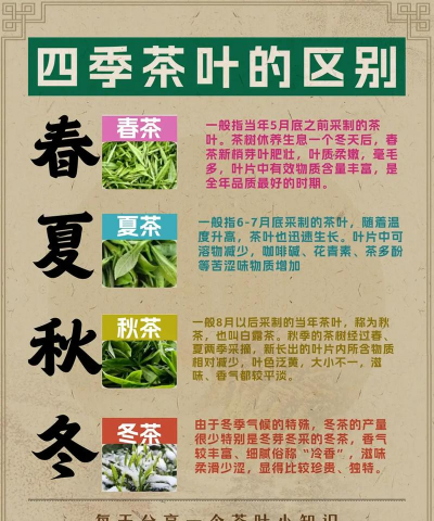 红色花卉，点亮家居氛围，增添生活色彩