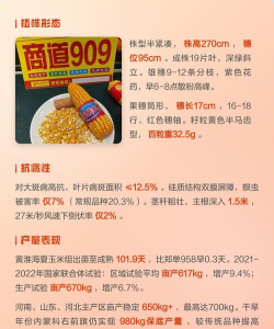 红色花卉，点亮家居氛围，增添生活色彩