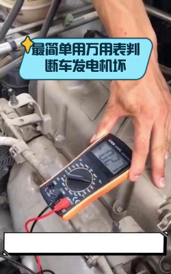 红色花卉，点亮家居氛围，增添生活色彩