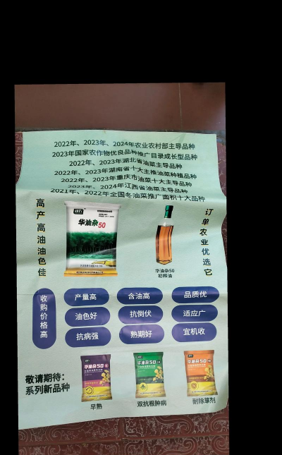 红色花卉，点亮家居氛围，增添生活色彩