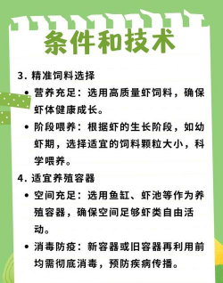 花卉花盆，选对材质，养花更轻松