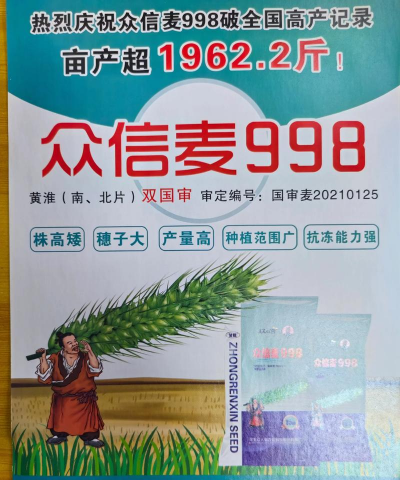 花卉花盆，选对材质，养花更轻松