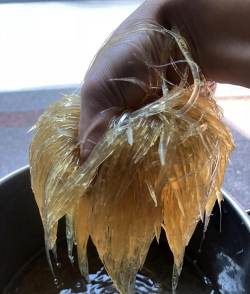 养花寄语，传递美好情感，点缀生活空间