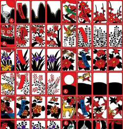 养花工具大全，新手必备清单，轻松打理花草