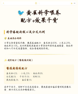 养花工具大全，新手必备清单，轻松打理花草