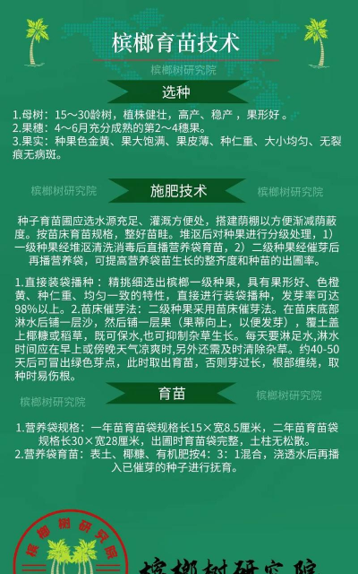 养花工具大全，新手必备清单，轻松打理花草