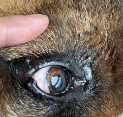 养花工具大全，新手必备清单，轻松打理花草