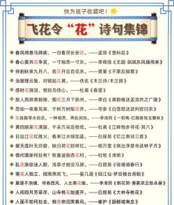 养花工具大全，新手必备清单，轻松打理花草