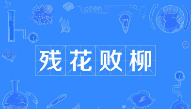 养花工具大全，新手必备清单，轻松打理花草