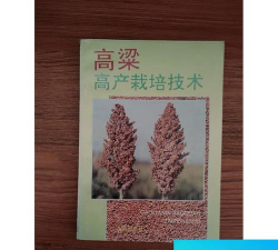 养花工具大全，新手必备清单，轻松打理花草