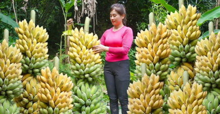 养花工具大全，新手必备清单，轻松打理花草