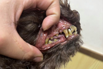 天津滨海花卉科技园，赏花好去处，亲子游玩推荐