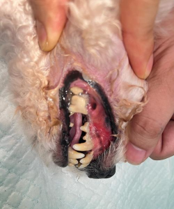 天津滨海花卉科技园，赏花好去处，亲子游玩推荐