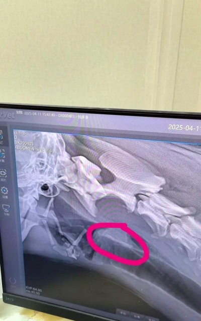 天津滨海花卉科技园，赏花好去处，亲子游玩推荐