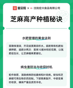 天津滨海花卉科技园，赏花好去处，亲子游玩推荐