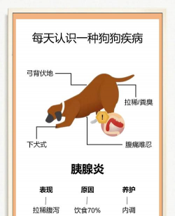 天津滨海花卉科技园，赏花好去处，亲子游玩推荐
