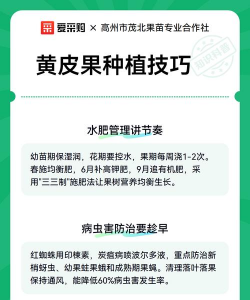 养花工具大全，新手必备清单，轻松打理花草