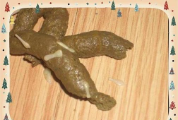 天津滨海花卉科技园，赏花好去处，亲子游玩推荐