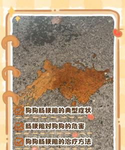 天津滨海花卉科技园，赏花好去处，亲子游玩推荐