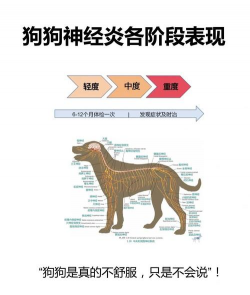 香蕉皮养花，废物利用，省钱又环保