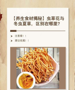 香蕉皮养花，废物利用，省钱又环保