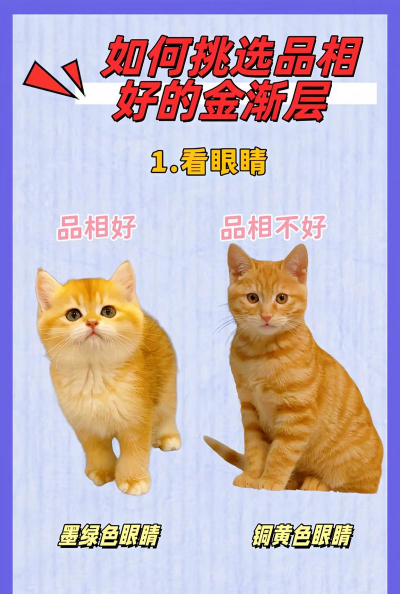 香蕉皮养花，废物利用，省钱又环保