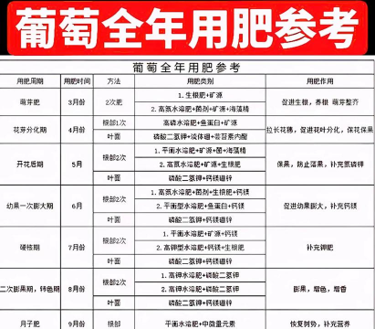 香蕉皮养花，废物利用，省钱又环保