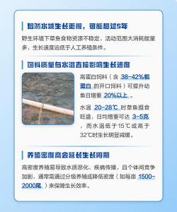 矿泉水瓶养花，废物利用，轻松打造小花园